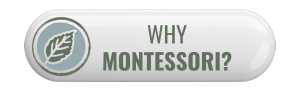 Why Montessori - website button